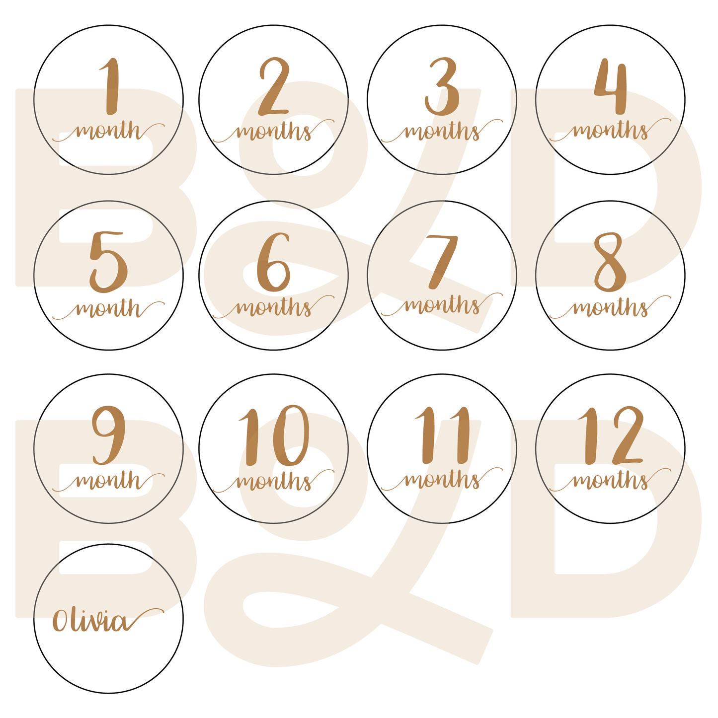 Monthly Milestone Discs (1 mes a 1 año)