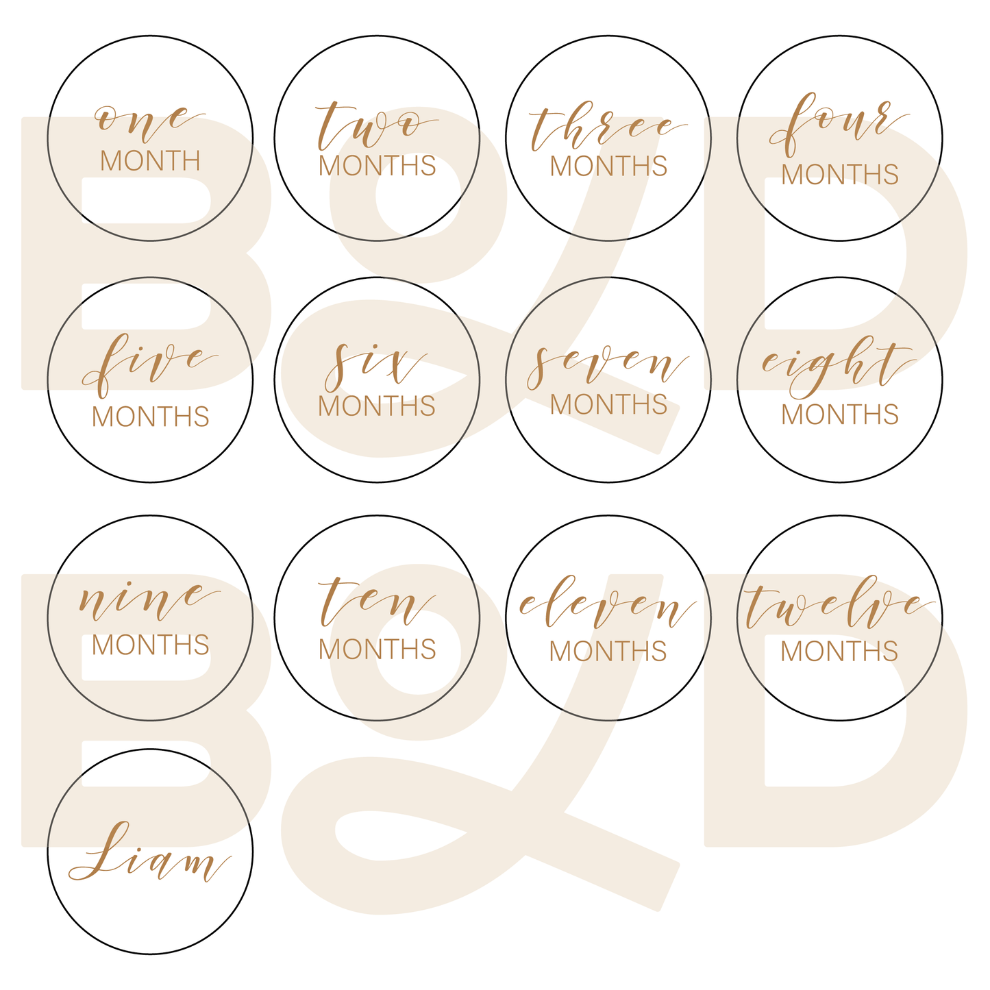Monthly Milestone Discs (one month a one year)
